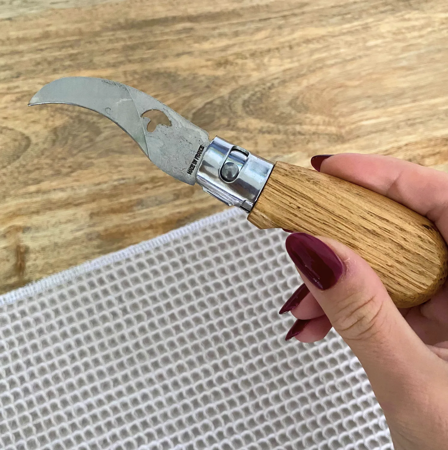 Couteau de poche spécial champignon Olivier – Image 2