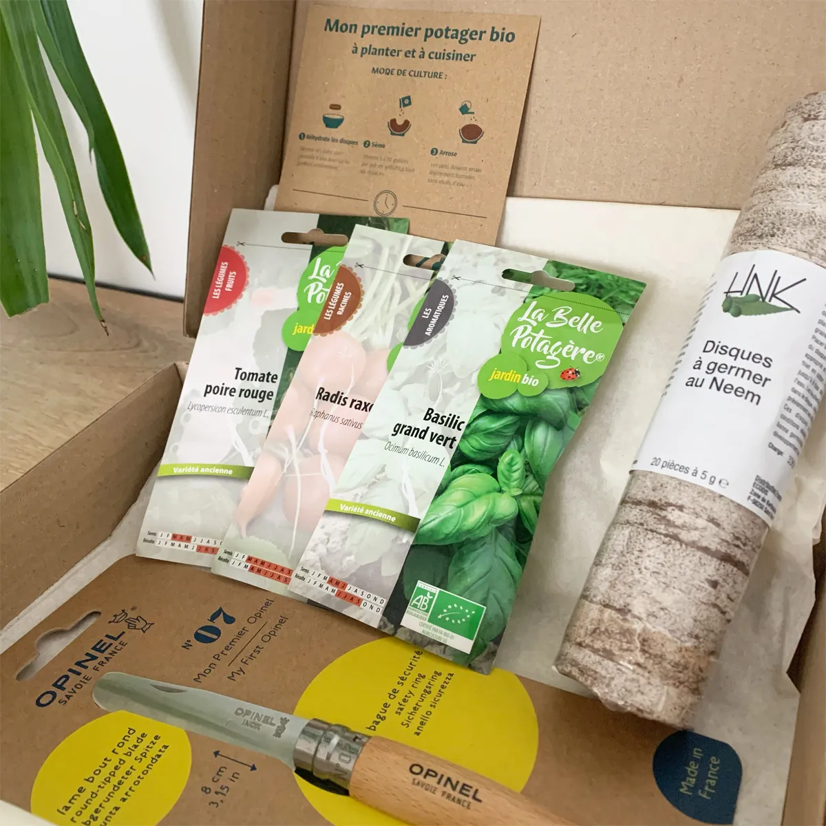 Coffret : Mon premier potager bio à planter et à cuisiner pour enfants – Image 3