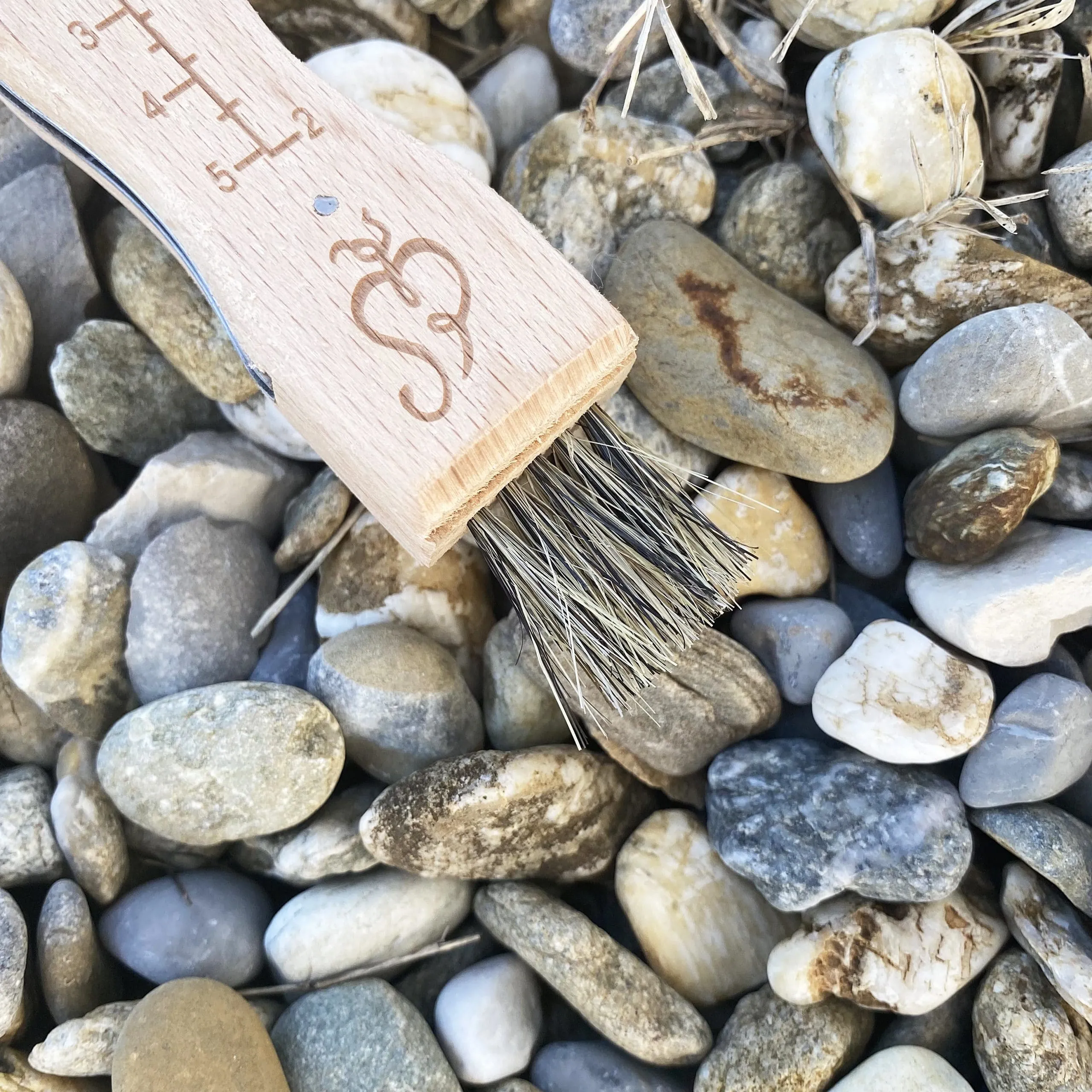 Couteau à champignons avec brosse – Image 3