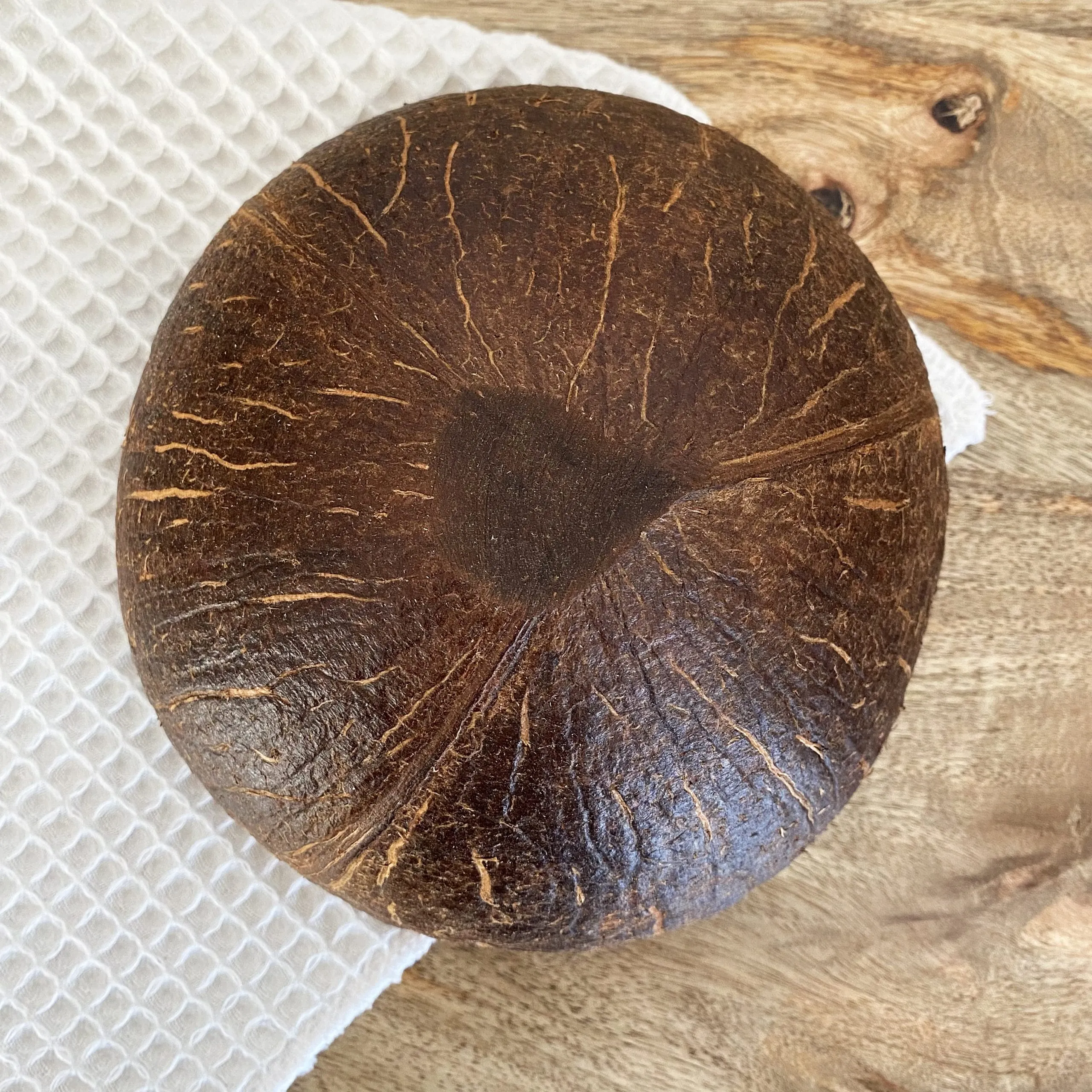 Bol en noix de coco brut – Image 3