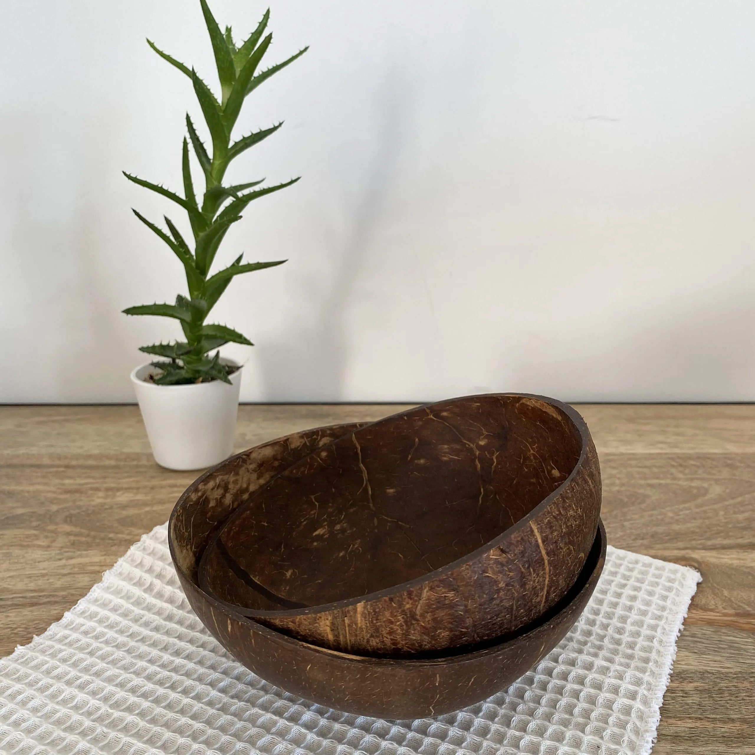 Bol en noix de coco brut – Image 5