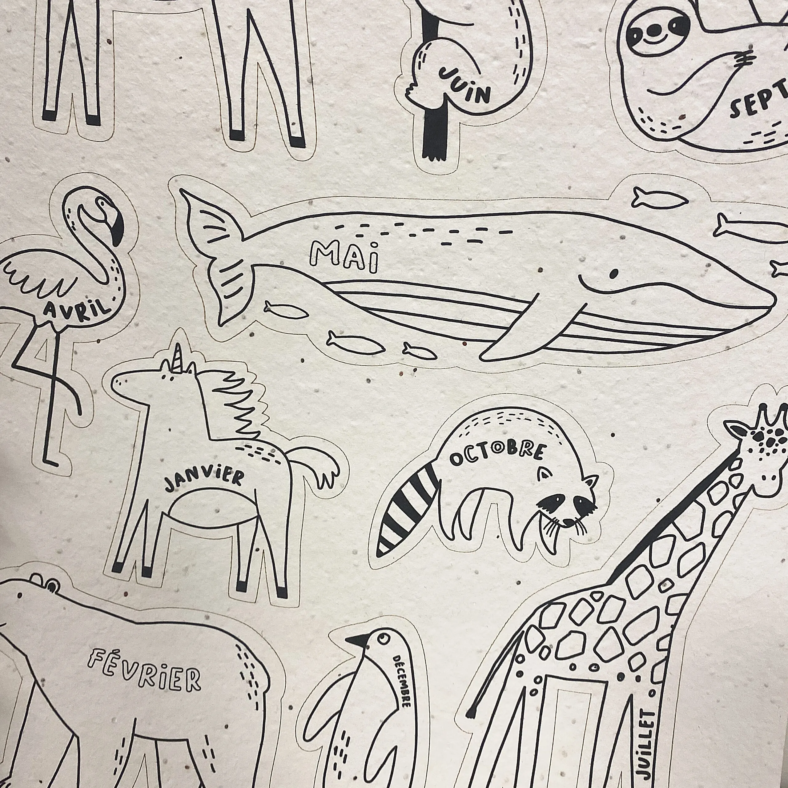 Calendrier ensemencé à planter et à colorier 2024 – Image 7