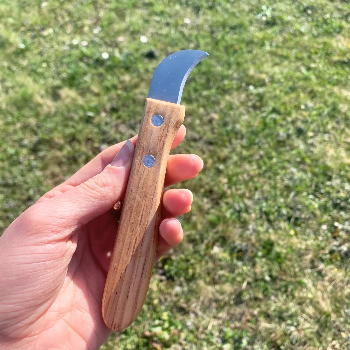 Couteau à chataignes – Image 4