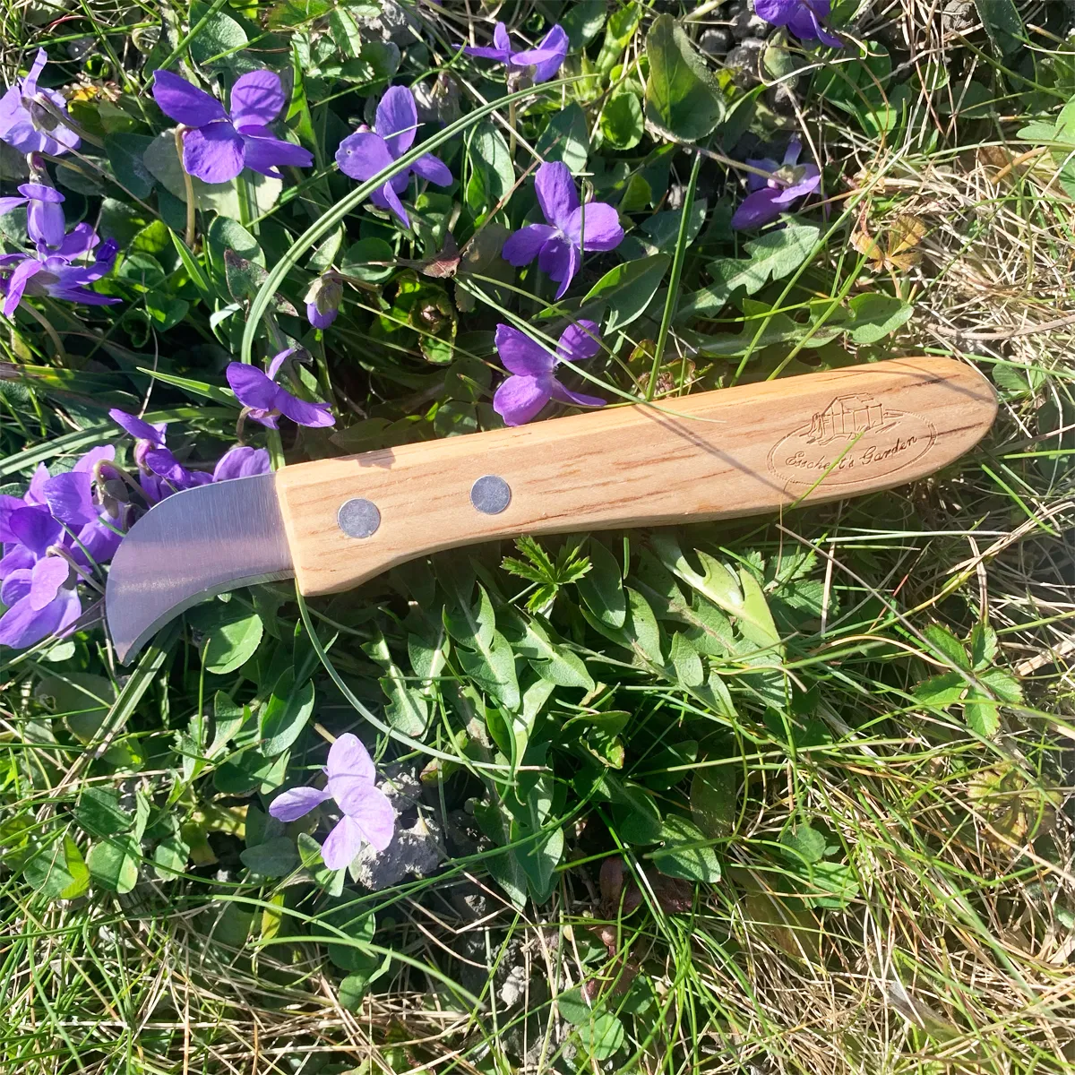 Couteau à chataignes – Image 2