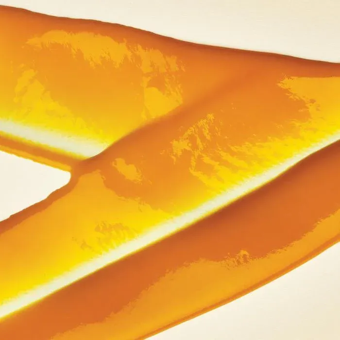 Purée de Fruit 1 kg - Mangue - Vendu en Click and Collect UNIQUEMENT – Image 2